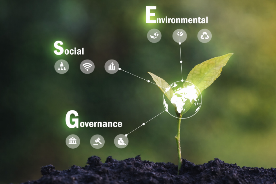 Sustainable Real Estate